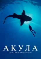  Акула со Стивом Бакшоллом смотреть онлайн тв шоу 1 сезон 